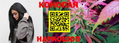 гидропоника Гусь-Хрустальный