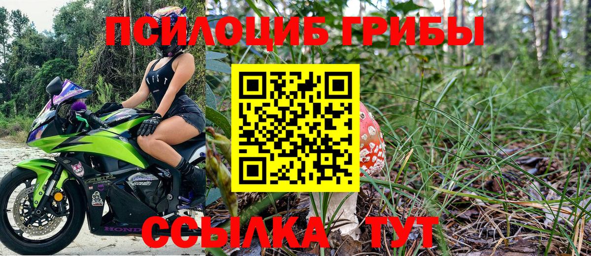 Псилоцибиновые грибы MAGIC MUSHROOMS Когалым